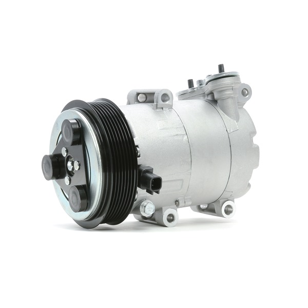 RIDEX 447K0370 Aircopomp