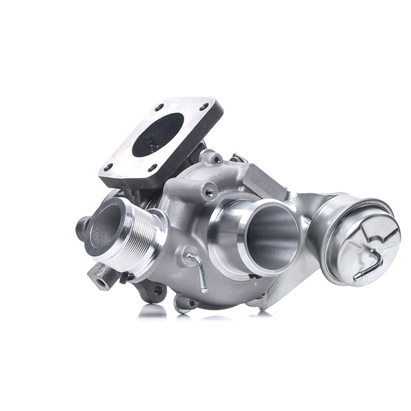 RIDEX 2234C0088 Turbolader Fiat Tipo Kombi 1.4 LPG (356WXF1B) 120 PS Benzin/Autogas (LPG) Kosten