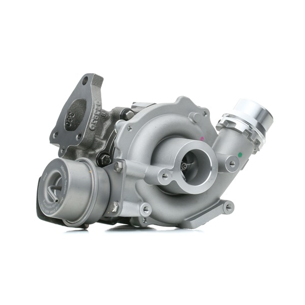 Turbolader 2234C0113 RIDEX 1441100Q1G OPEL