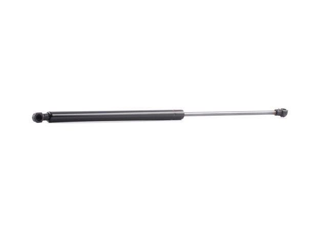 RIDEX Piston de coffre 219G0694 évaluation
