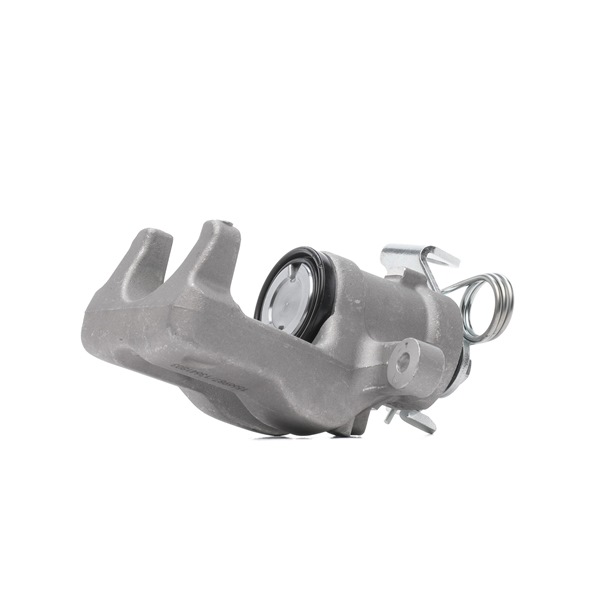 RIDEX 78B0498 Jarrusatula