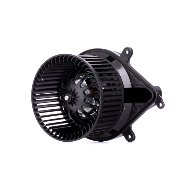 RIDEX 2669I0097 Interieurventilatie