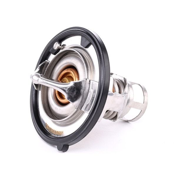 316T0131 RIDEX termostat
