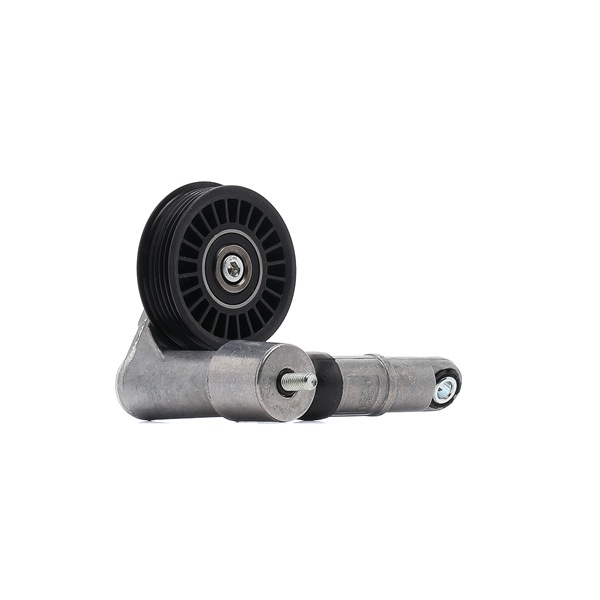 SKF VKM 31013 Poulie, tendeur de courroie d'accessoire