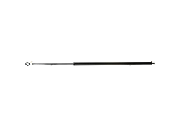 RIDEX 219G0651 Vérin de coffre