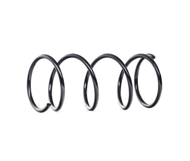 RIDEX 188C0565 Chassisveer