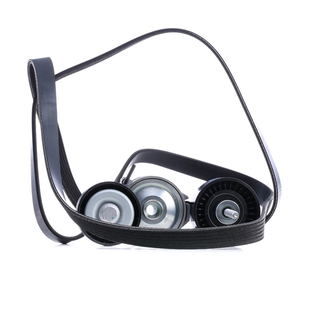 RIDEX 542R0046 Poly V-riem set