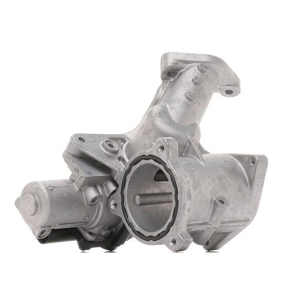 7.00678.06.0 PIERBURG AGR Ventil POLO 2004 original