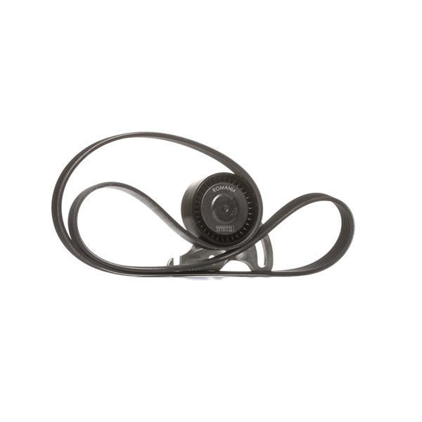 Modus / Grand Modus (F, JP) multiriem SKF VKMA 36036