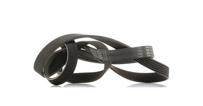 Serpentine belt VKMV 6PK1900 SKF 24413292 VAUXHALL