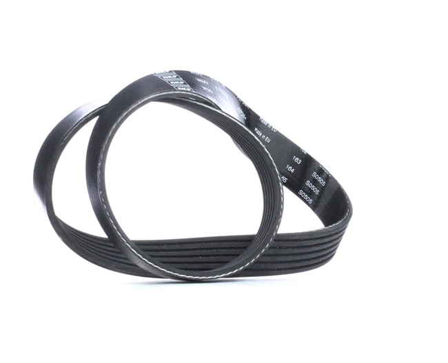 SKF VKMV 6PK728 Moniurahihna