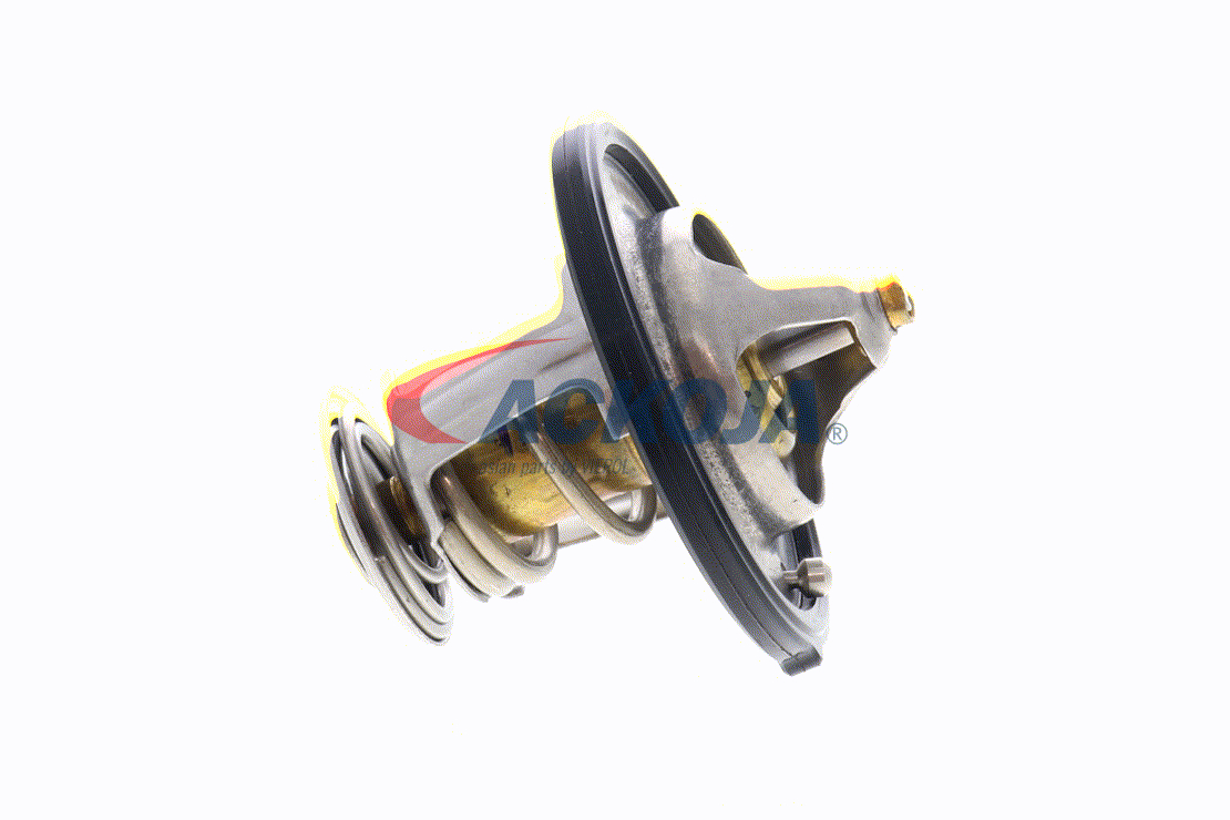 ACKOJA 1089804 Thermostat d'eau