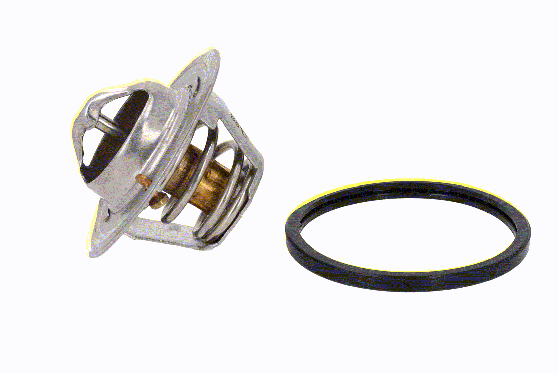 ACKOJA 1003104 Thermostat d'eau