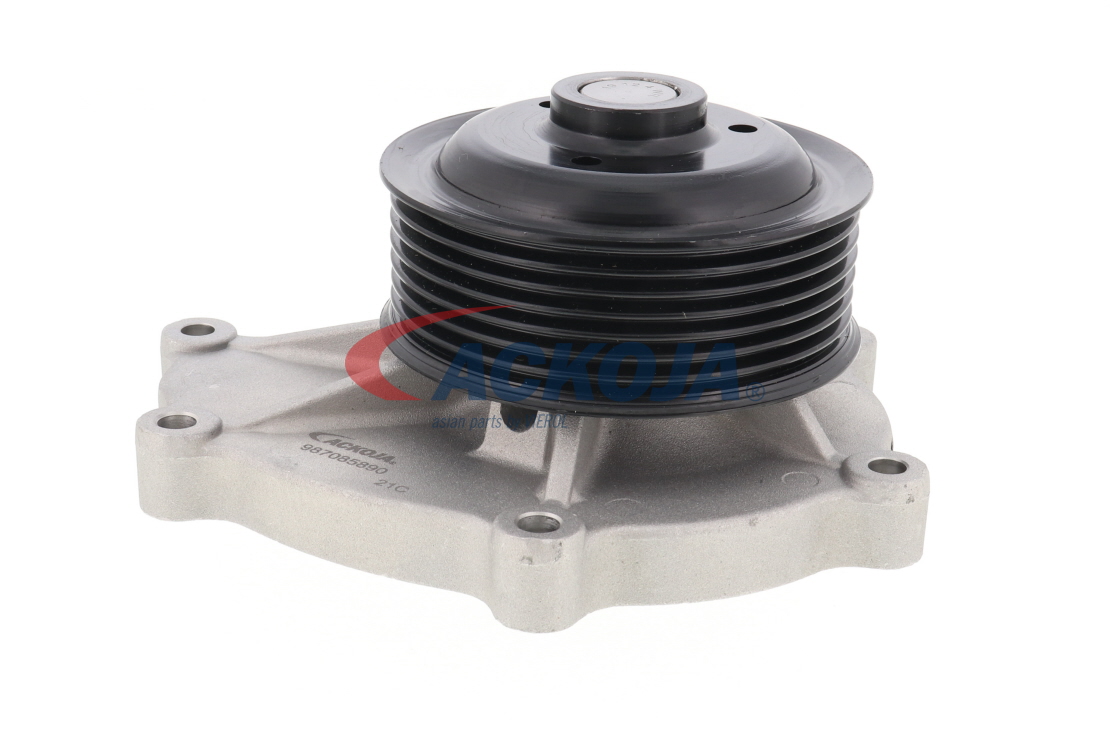 ACKOJA A63-0700 Pompe à eau