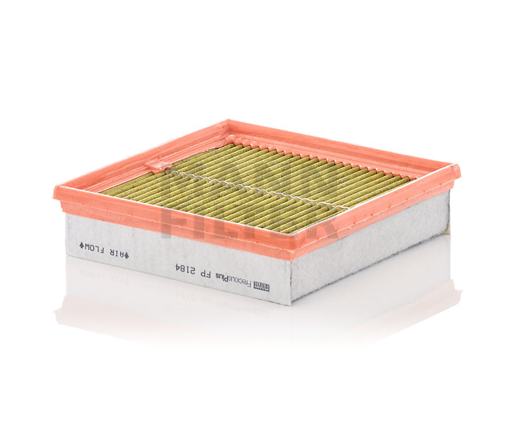 Innenraumfilter FP 2184 MANN-FILTER 20409908 IVECO