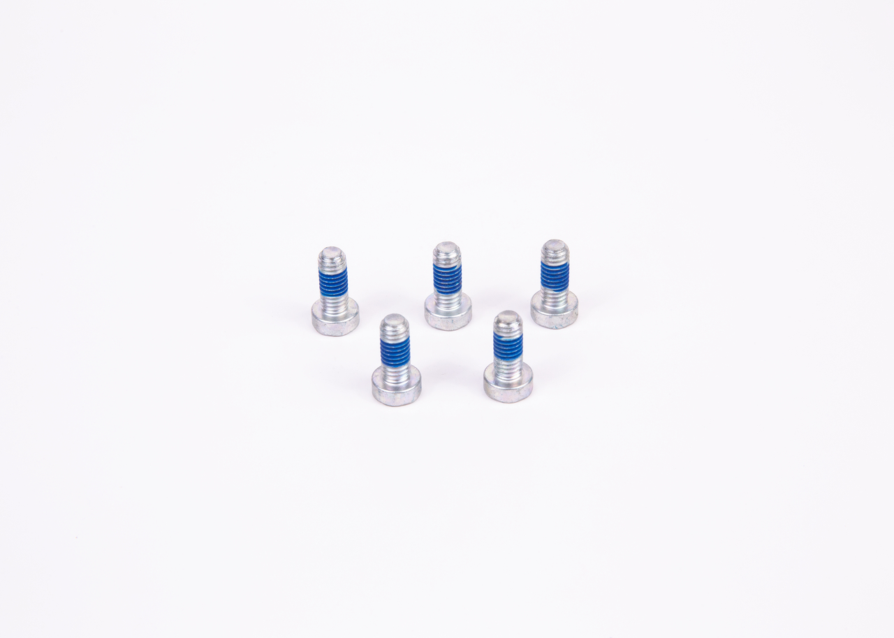 Stempelringsett 2 914 558 171 BOSCH 244856 DAF