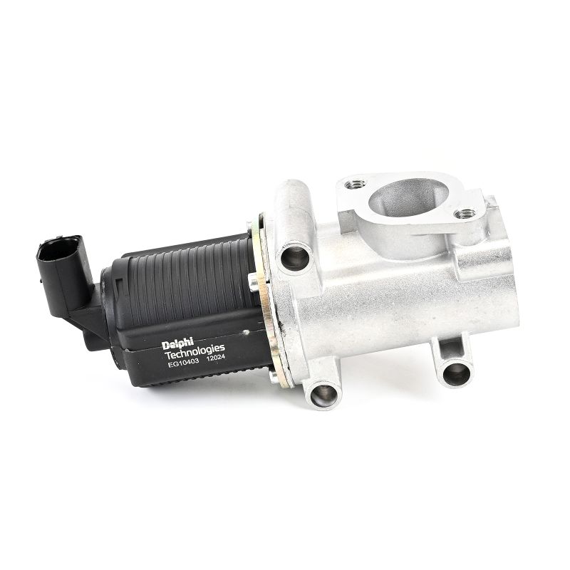 DELPHI EG10403 EGR klep