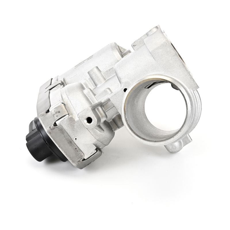 DELPHI EG10410 EGR valve