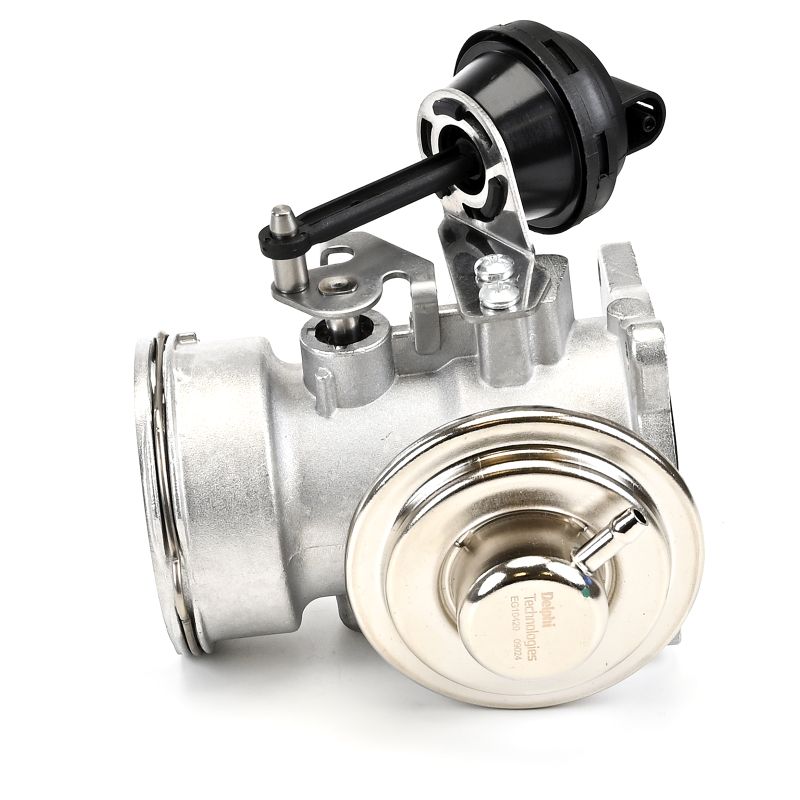 DELPHI Agr szelep Volkswagen EG10420-12B1