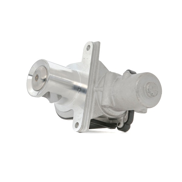 EG10425-12B1 DELPHI Dacia Logan US AGR Ventil Kosten