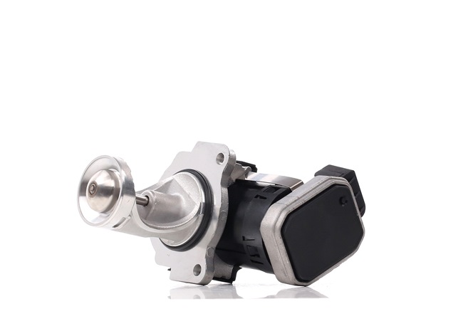EGR szelep Volkswagen DELPHI EG10431-12B1
