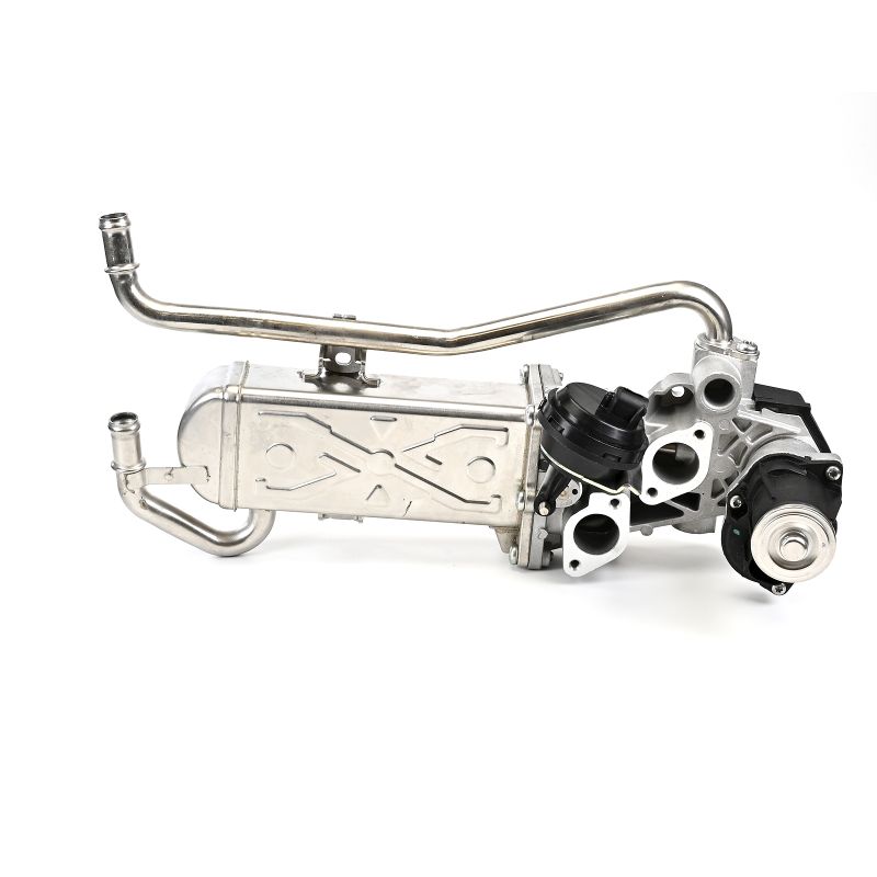 DELPHI EG10432-12B1 Uitlaatgasregelingsklep originele Škoda goedkoop