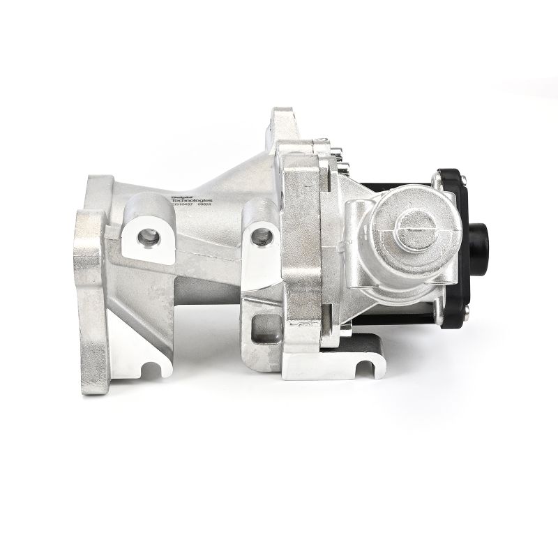 DELPHI EG10437-12B1 EGR-ventil Peugeot 407 Kombi original