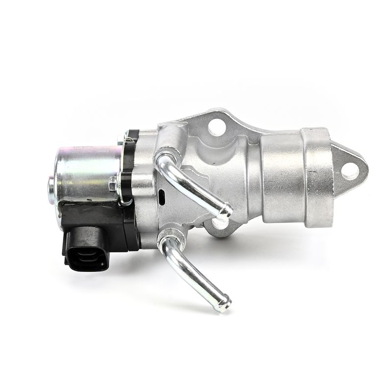 DELPHI EG10439 AGR-Ventil