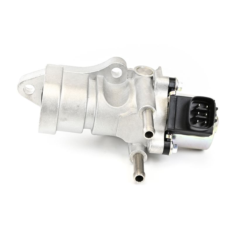 DELPHI EG10440 AGR-Ventil