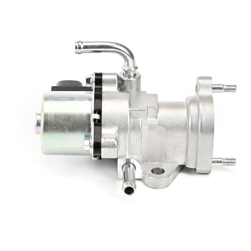 DELPHI EG10441 Válvula EGR
