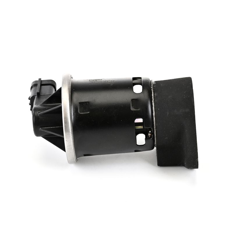 DELPHI EG10445 AGR-Ventil