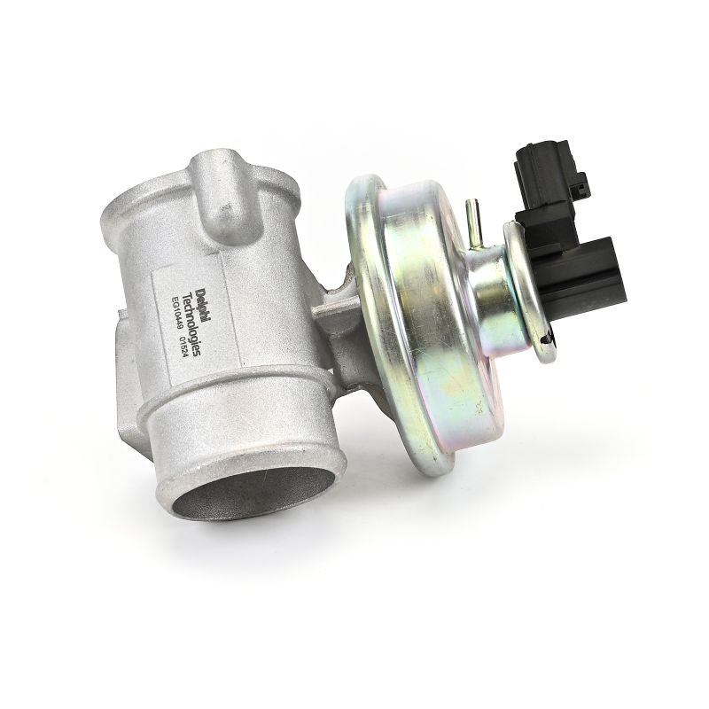 DELPHI EG10449 Válvula EGR