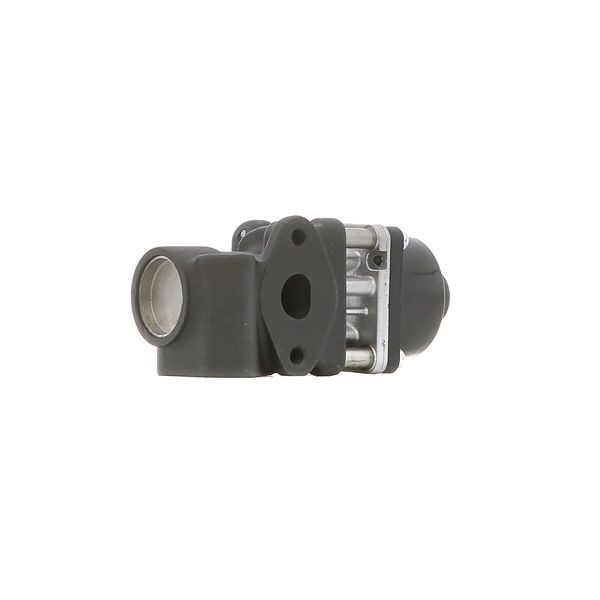 DELPHI EG10454-12B1 AGR Suzuki Swift 3 1.3 4x4 (RS 413, ZD11S) 92 PS Benzin Kosten