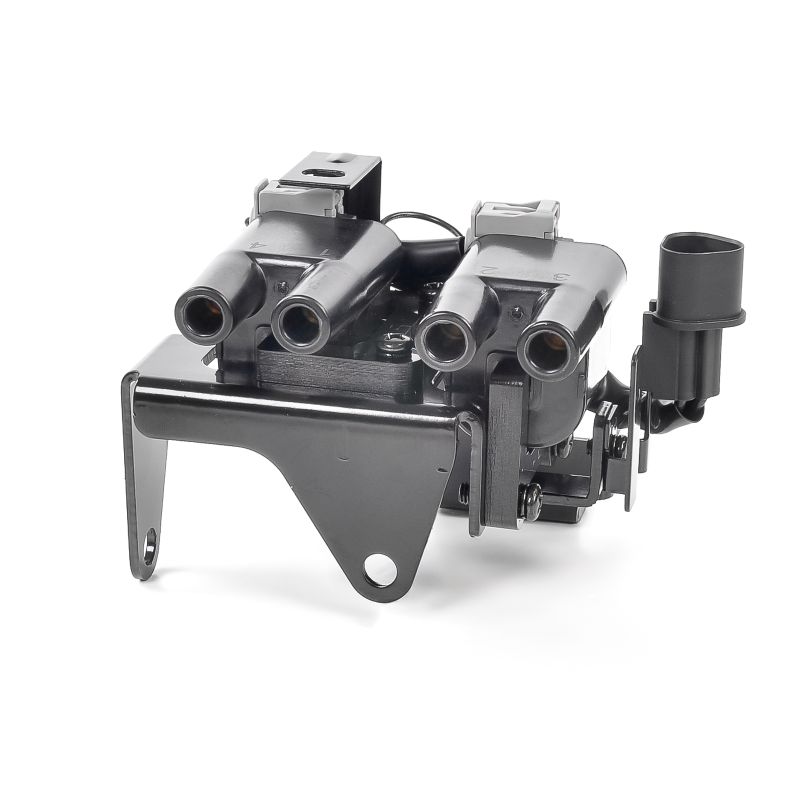 DELPHI GN10531 Ignition coil