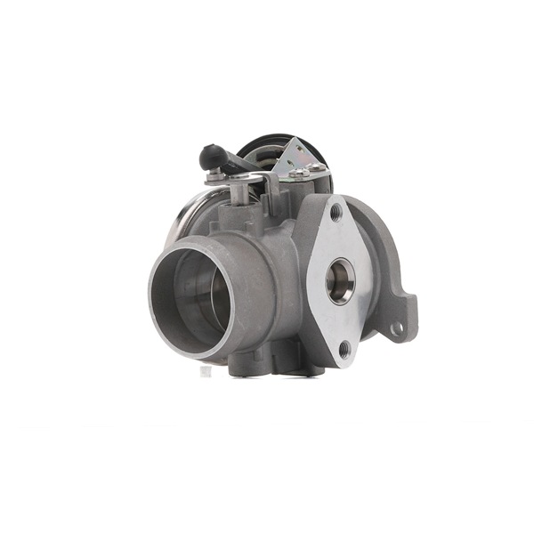 Volkswagen TRANSPORTER EGR BUGIAD BGR13021