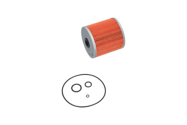 KAVO PARTS HF-655A Filtros de combustible para Volkswagen Passat B7 Variant 365 3.6 FSI 4motion 300 cv 2014 BWS Motor Otto KAVO PARTS HF-655A Filtro de combustible Passat 365 3.6 FSI 4motion 300 cv Gasolina precio