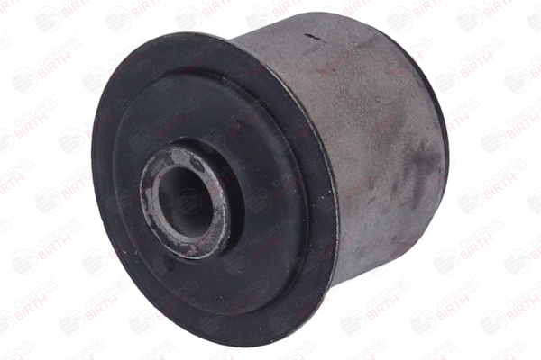 BIRTH 2884 Silentlager für Jeep Wrangler IV JL 2.0 T-GDi (JL72, JL74) 270 PS 2021 EC1 Otto BIRTH 2884 Querlenkerbuchse JEEP Wrangler IV (JL) 2.0 T-GDi (JL72, JL74) 270 PS Benzin Kosten