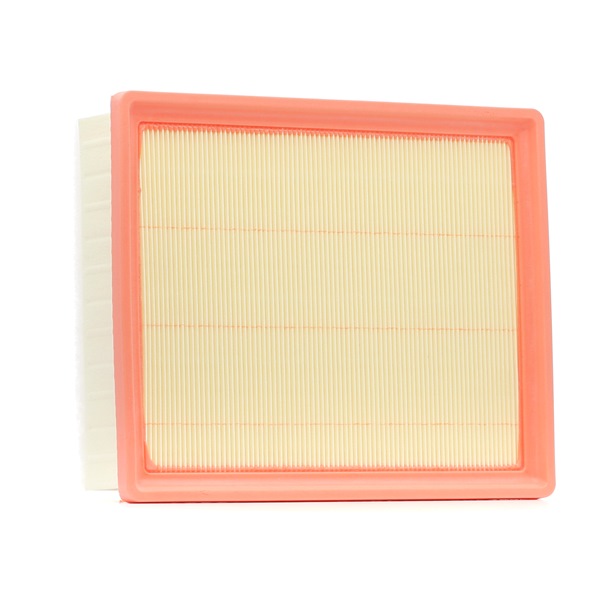AP 137/9 FILTRON Luftfilter Fiat billige