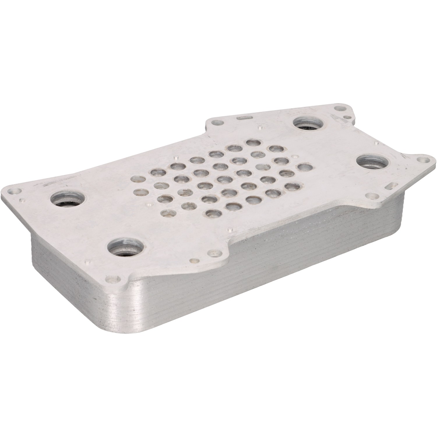 BF 20190520120 Chłodnica oleju, olej silnikowy