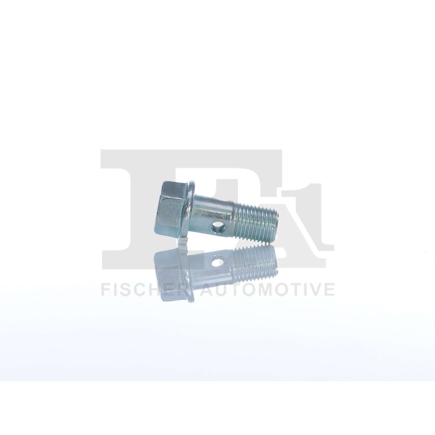 FA1 989-10-008 Hollow Screw, charger