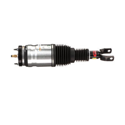 Arnott AS-3017 Pneimo piekare Dodge Caravan RG par izdevīgu cenu