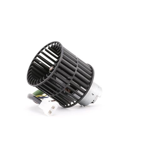 RIDEX 2669I0118 Sisätilapuhallin