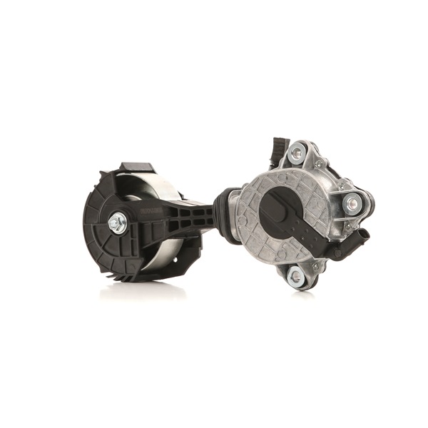 RIDEX 541V0045 Tensor de correa Mini Cooper R56 1.6 Cooper 122 cv Gasolina precio