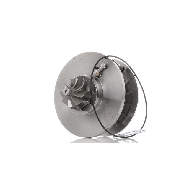 RIDEX 4973C0031 Cartouche turbo