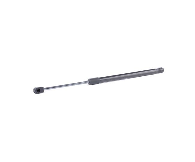 RIDEX 219G0890 Vérin de hayon Suzuki Swift 3 1.3 (RS 413, ZC11S) 92 CV Essence 2024