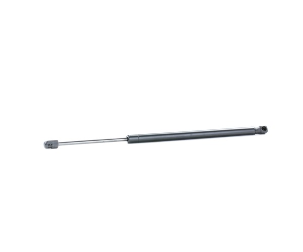 RIDEX 514G0136 Bonnet lifters for Audi R8 Coupe 422, 423 4.2 FSI quattro 420 hp 2007 BYH Petrol Engine RIDEX 514G0136 Hood struts Audi R8 42 4.2 FSI quattro 420 hp Petrol 2007