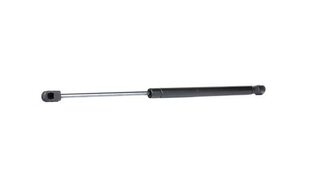 RIDEX 514G0143 Motorhaubendämpfer CHEVROLET Epica KL1 2.5 156 PS Benzin Kosten