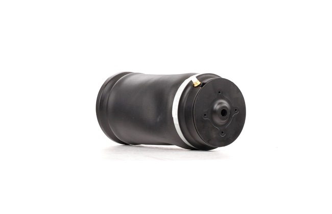 RIDEX 4118A0014 Luftfjäderben