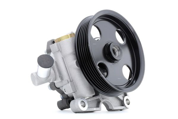 Servo čerpadlo 12H0133 RIDEX A 004 466 93 01 MERCEDES-BENZ