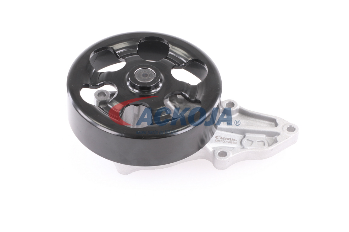 Pompe à eau ACKOJA A26-50016 A26-50016 Pompe à eau ACKOJA prix